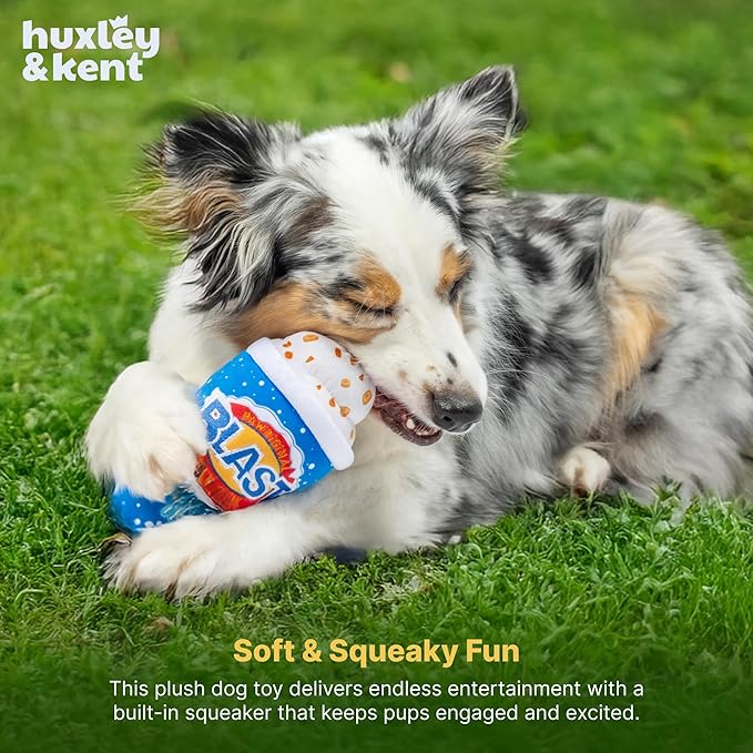 Huxley & Kent Funny Dog Toy w/Squeaker – Power Plush Squeaky Dog Toys for Small, Medium & Large Dogs – Soft Stuffed Animal for Indoor Play & Fetch - Arctic Blast Treat, Small