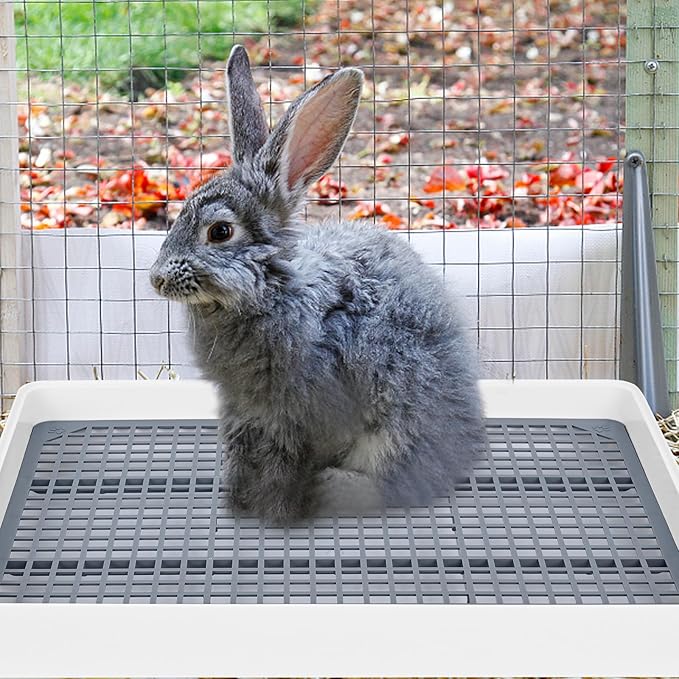 VAIPI 2 Pack Large Rabbit Litter Box with Small Broom and Dustpan Litter Pan for Cage Grate Restroom Bunny Toilet Tray for Rabbit Rats- 15 x 12.2 x 2.6 Inches