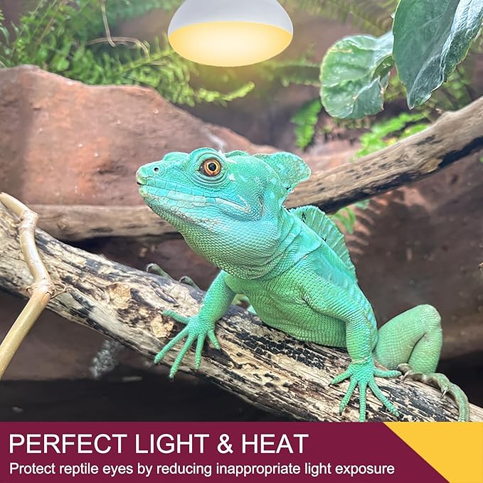 150W Reptile Heat Lamp Bulb 2 Pack,Basking Spot Lamp Bulb for Reptiles & Amphibians,Reptile Daylight Heat Bulb for Bearded Dragon, Lizard, Turtle