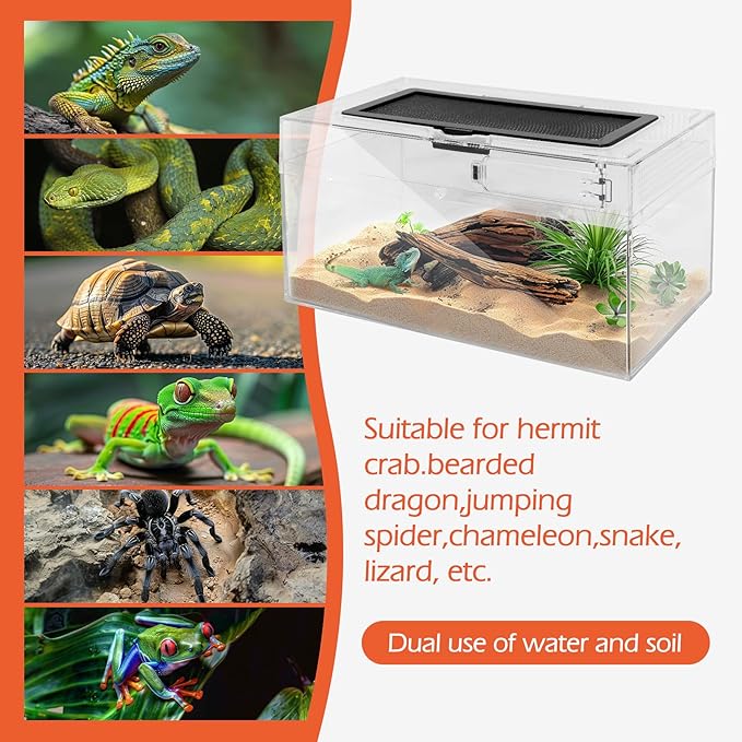 AZV Reptile PC Tank Terrarium Amphibian Turtle Tank Starter Kit Habitat Enclosure Cage 7x11x5 inch for breeding Lizards,Turtles,Corn Snakes,Chameleons,Frog,Crested Leopard Geckos,Spider,Hermit Crab