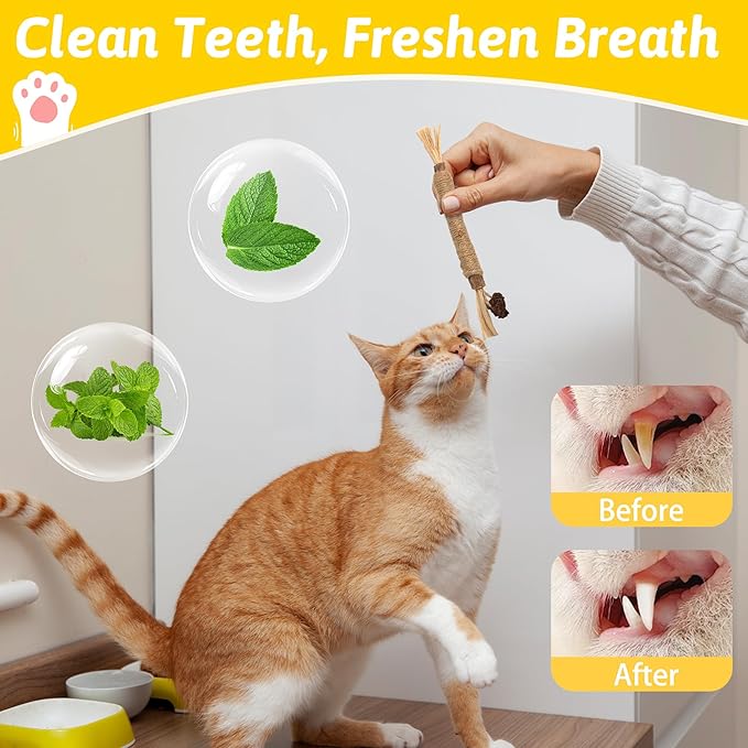 9 in 1 Cat Scratch Pad Cat Toys Set, Cat Scratcher Cardboard with Catnip, Retractable Wand Toy and Feather Toys, Natural Silvervine Sticks, Cat Toy Pointer