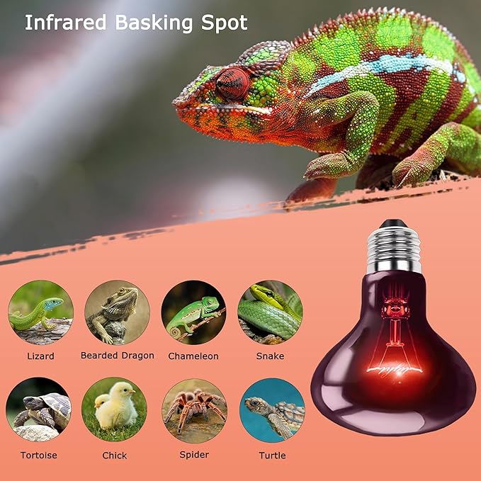100W UVA Infrared Heat Lamp Bulb – High-Performance Red Basking Spot Light for Lizards, Leopard Geckos, Turtles and Chicks, Perfect for Reptile Tanks, Chicken Brooders & Terrariums | 2 Pack