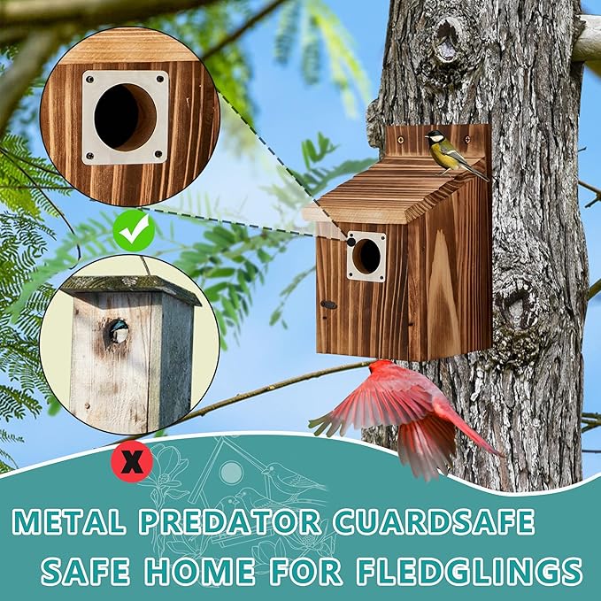 2 Pack Bird Houses for Outside with Metal Predator Guard for Bluebird Wren Swallow Finch-Carbonized Wooden Nesting Boxes for Outdoor Sturdy Bird House,Easy to Clean,No Assembly Needed