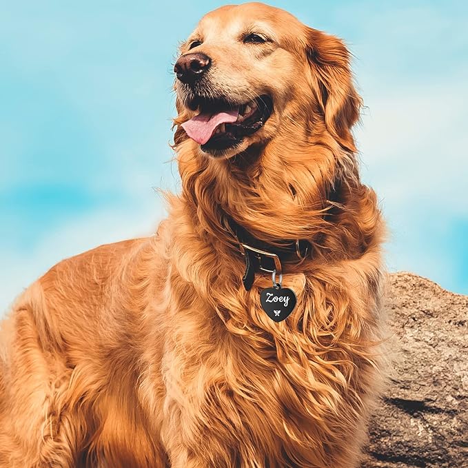 YEHANTI Personalized Dog Tags Engraved for Pets - Stainless Steel Custom Dog Cat Tag with Various Cute and Beautiful Icons, Double Sided Engraved Pet ID Tags Dog Name Tag, Heart