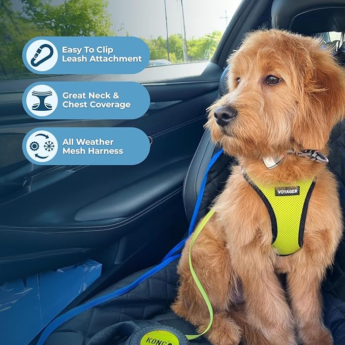 Best Pet Supplies - All Weather Mesh, Reflective, No Pull Harness for Small, Medium Dogs, Cats - Secure with Hook & Loop Fastener, Buckle, Double D-Rings - Lime Green/Black Trim, XXS