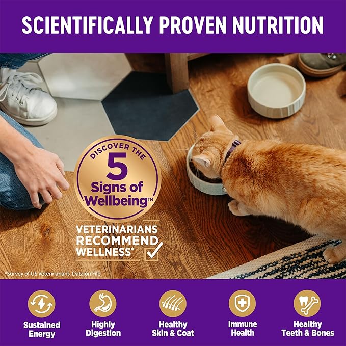 Wellness Complete Health Kitten Dry Cat Food for Indoor & Outdoor Cats, Wholesome Grains, Natural, Original Turkey, Turkey Meal and Chicken (5 Pound Bag)