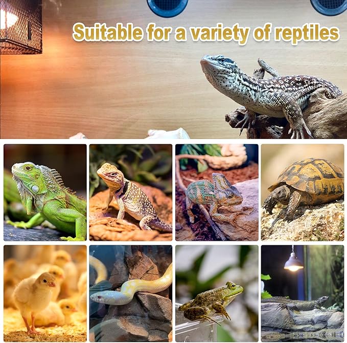 MIXJOY 4Pack Reptile Heat Lamp Bulbs, 100W Heat Lamp Bulbs for Reptiles Basking Bulbs UVA Daylight Basking Light Amphibians Heating Lamp Emitter for Lizard, Tortoise, Bearded Dragon Gecko