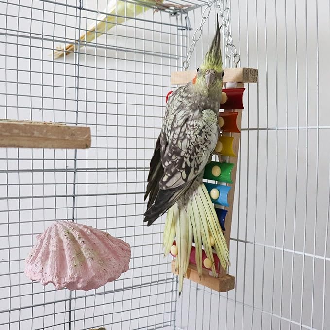 Dnoifne Colorful Bird Xylophone Toy, Suspensible Funny Xylophone Toy with 8 Metal Keys, Bird Cage Toy Accessories for Chicken Bird Parrot Parrot Parakeet Budgies Love Birds