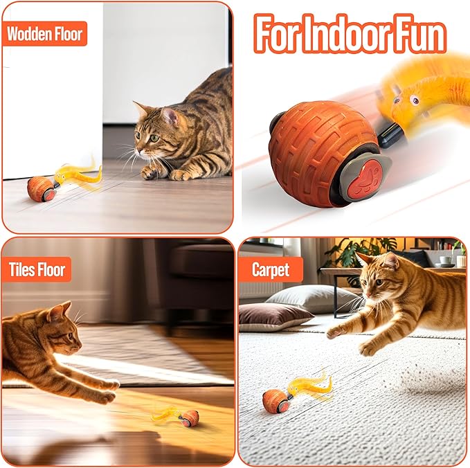 Motion Activated Self-Moving Cat Toys Ball – GlobalSun Speedy Tail 2.0 Automatic Rolling Cat Toy with Mouse & Feather Tails, USB Rechargeable Interactive Cat Toy for Indoor Cats