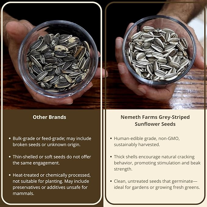 5 Lb Bag | Premium Striped Sunflower Seeds for Birds - Natural Sunflower Seeds Bird Food | Non-GMO, Feeder-Ready & Plantable
