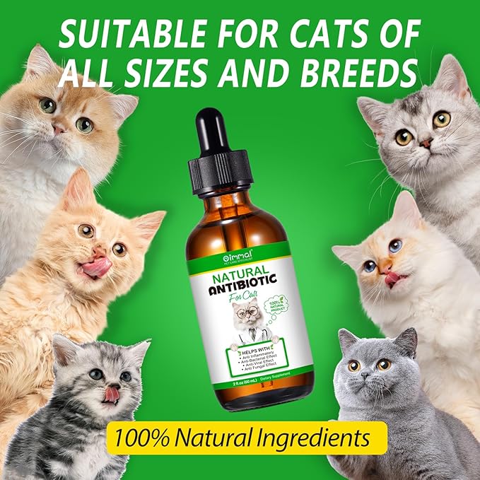 2 Pack Antibiotics for Cats, Premium Cat Antibiotics Supplement, Cats Multivitamin, Natural Antibiotic for Cats, Cat Antibiotic, Cat Antibiotics Supports Immune & Cats Allergy Relief