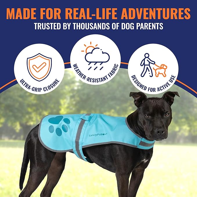 Dog Reflective Vest – Hi-Vis Fluorescent Visibility That Helps to Safeguard Your Pet On/Off Leash in Urban & Rural Areas (Teal, X-Large)