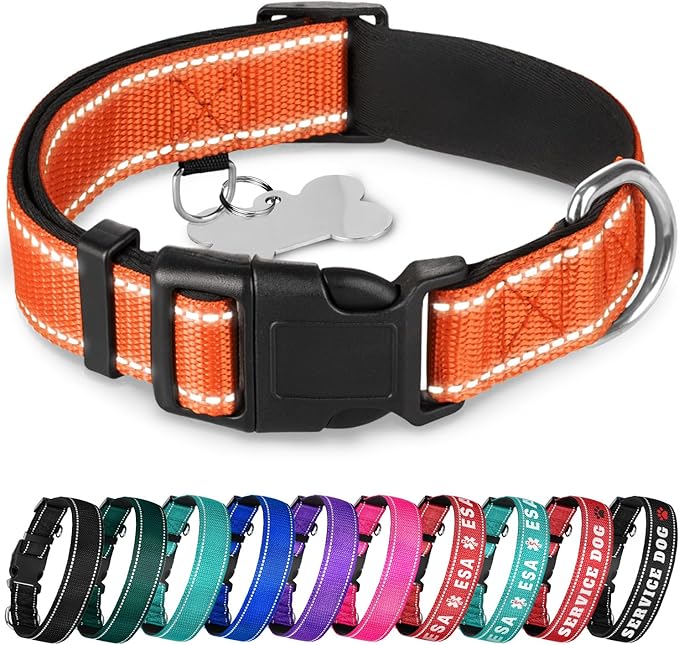 TECEUM Reflective Dog Collar β Orange β S β Extra Soft Padding β Basic Nylon Pet Collar β Quick Release Buckle β Fits Small, Medium and Large Dogs, Puppies, Cats β ESA & Service Dog Options
