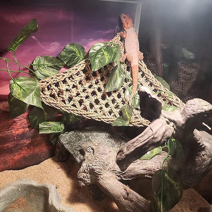 Bearded Dragon Skull Hide Decor,Reptile Natural Seagrass Hammock Lizard Lounger Reptiles Tank Accessories Jungle Climber Bendable Vine Habitat Decorations for Chameleon Spider Snakes(4Pcs)
