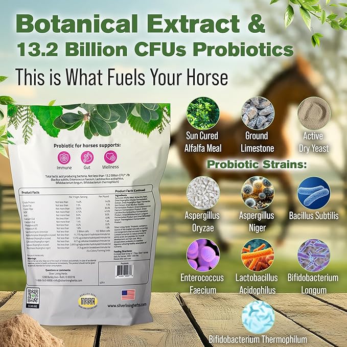 Silver Lining Herbs Horse Probiotics Digestive Supplements - Digestive Enzyme & Gut Health Probiotic Supplement for Horses - Contains 13.2 Billion CFUs Probiotic Strains - 1.25 lb 60-Day Supply