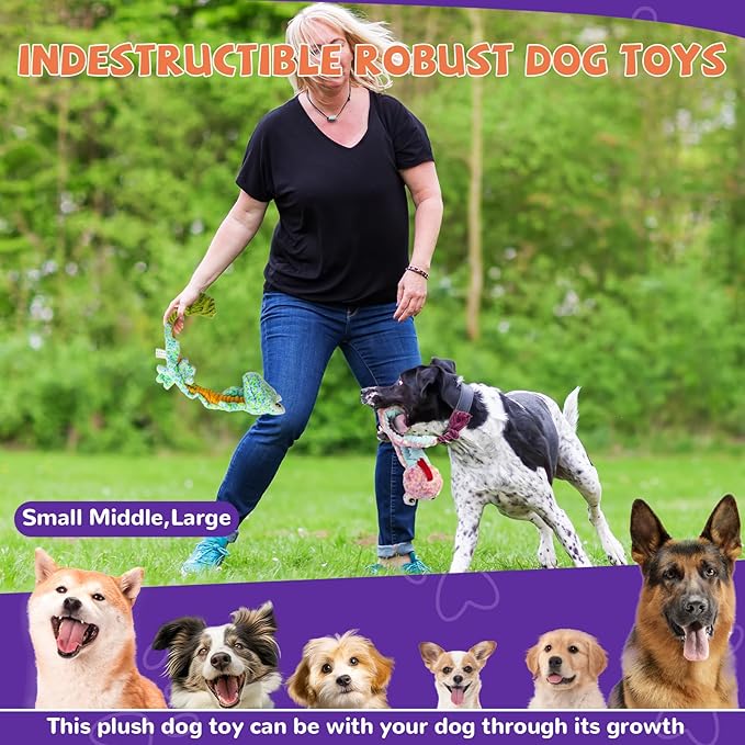 Crinkle Dog Toys Squeaky Plush No Stuffing Cute Puppy Stuffless Tough Rop Pull Toy, Fun Dog Stuffed Animals Durable Chew Set for Small Medium Large Pup (Large, Snake+Lizard)