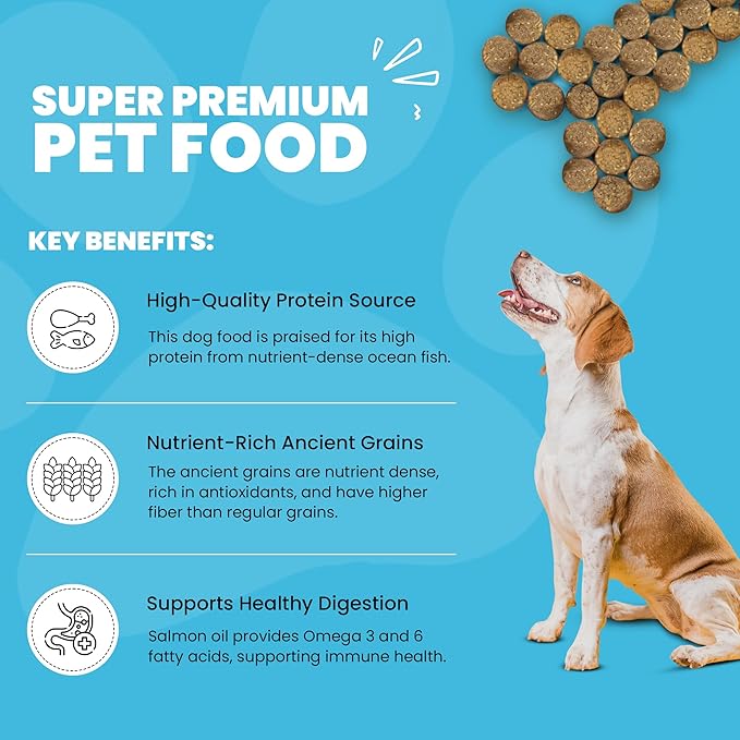 Muenster Ancient Grains Ocean Fish Dry Dog Food, 22lb - Gluten-Free, High Protein, Digestive Support