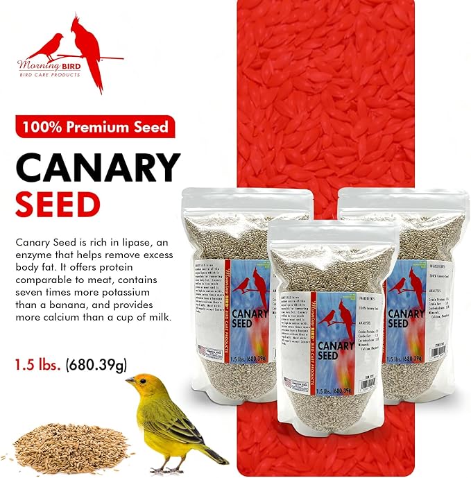 Morning Bird Canary Seed – Nutritional Rich in Vitamins and Supplements for Birds – Ideal for Healthy Feathers and Strong Bones Seed for All Birds Type 4.5 lbs (3-Pack, 1.5 lbs Each)