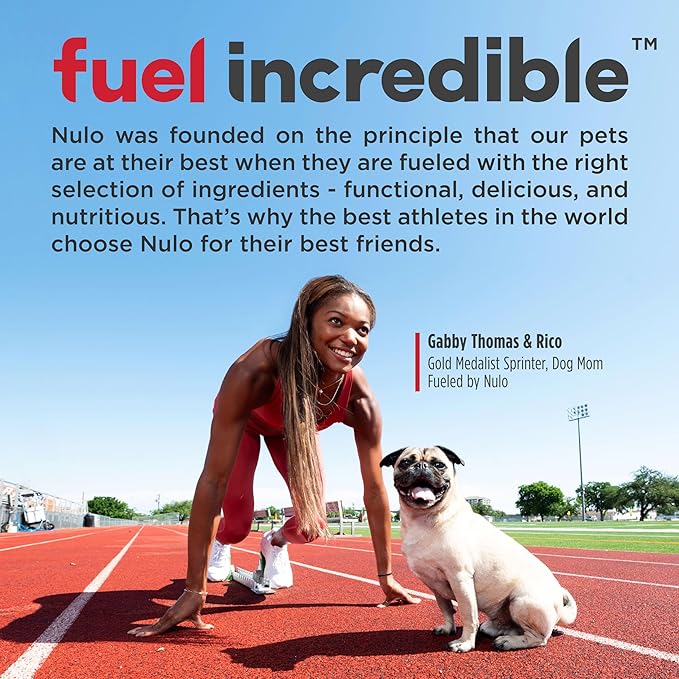 Nulo Freestyle Limited Ingredient Lamb Recipe Dry Kibble Dog & Puppy Food, 5.5 Pound Bag