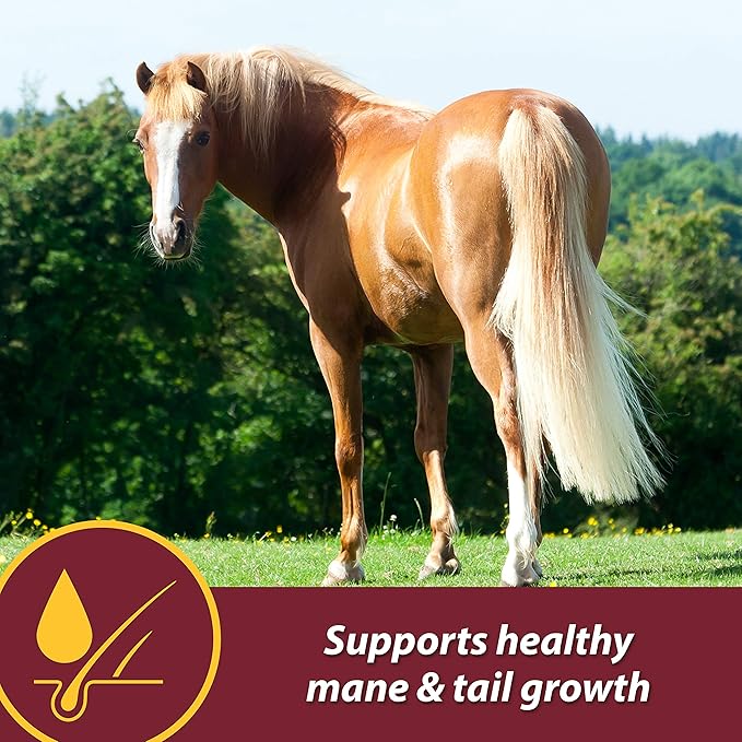 Farnam Laser Sheen Skin & Coat Supplement for Horses, Promotes Healthy Skin & Radiant Coat from The Inside Out, 3.75 Pounds 30 Day Supply