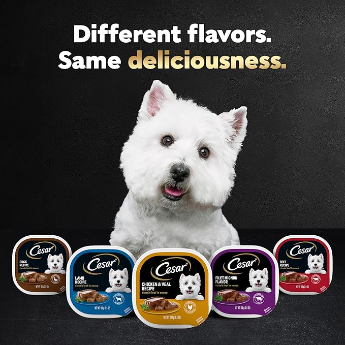 Cesar Wet Dog Food Classic Loaf in Sauce Poultry Variety Pack, 3.5 oz. Easy Peel Trays (24 Count, Pack of 1)