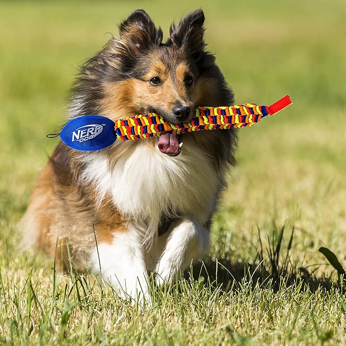Nerf Dog 25in Rainbow Vortex Chain Tug - Blue/Green/Orange/Red