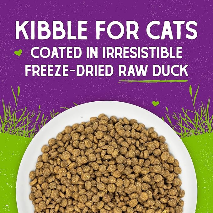 Stella & Chewy's Raw Coated Cat Food - High Protein, Grain-Free Kibble with Cage-Free Duck - Premium Digestive Support with Probiotics - Natural Small Kibble - Perfect For Picky Eaters - 2.5 lb Bag
