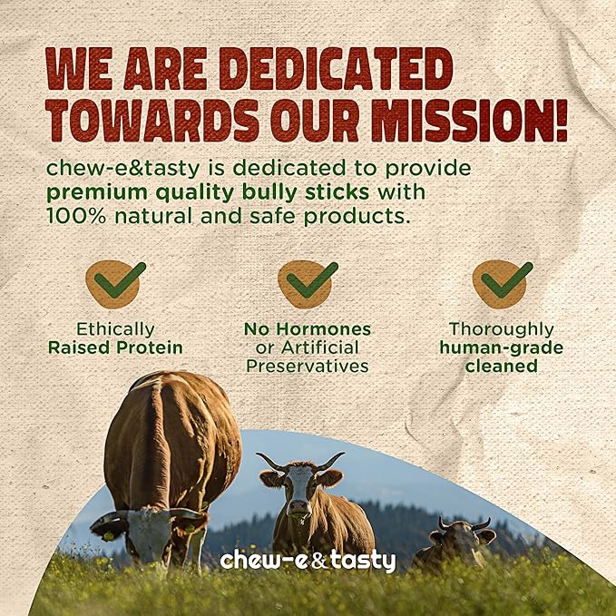 chew-e&tasty 12" Monster Odor Free Bully Sticks (Pack of 5) - Long Lasting Beef Chews - 100% Beef Single Ingredient Made of Digestible High Protein & Low Fat Dental Treats for Large - Very Large Dogs