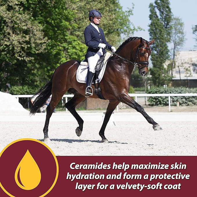 Farnam Laser Sheen Skin & Coat Supplement for Horses, Promotes Healthy Skin & Radiant Coat from The Inside Out, 3.75 Pounds 30 Day Supply