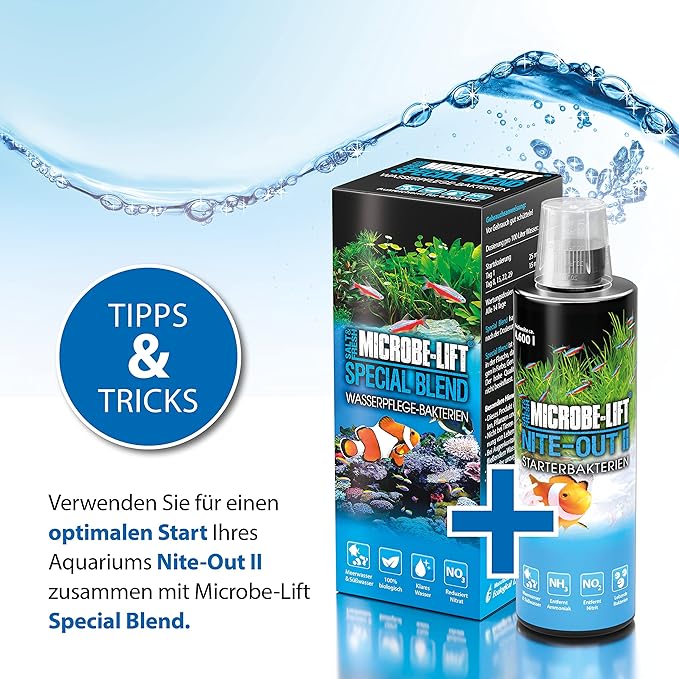 MICROBE-LIFT NITEH64 Nite-Out II Aquarium and Fish Tank Cleaner for Rapid Ammonia and Nitrite Reduction, Freshwater and Saltwater, 64 Ounces