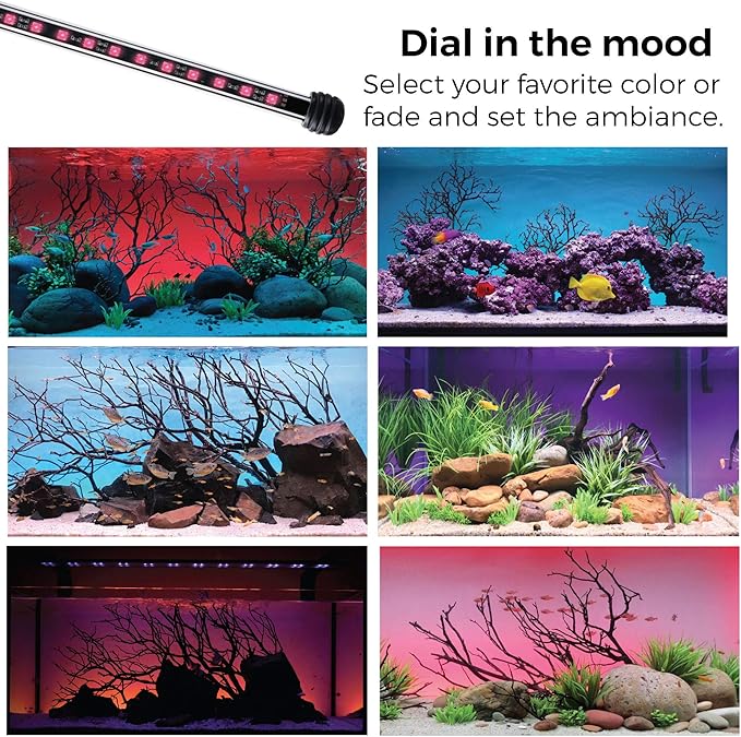 CURRENT USA 48" Serene Aquarium LED Background Light Kit | Fish Tank Lighting Backdrop Decoration Black 3D 40, 55, 75, 90 Gallon Tank (3153)