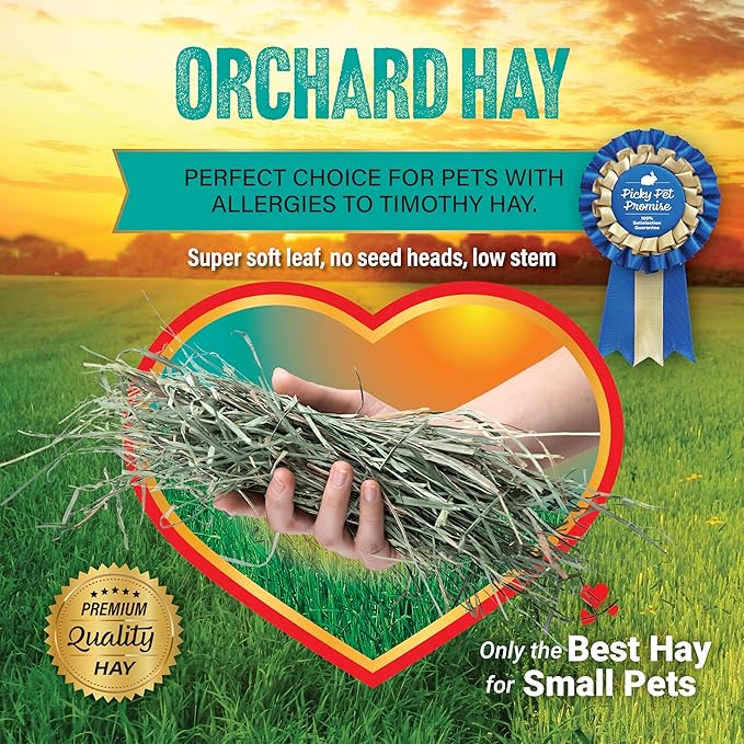 Small Pet Select Orchard Grass Hay Pet Food, 2 lb.