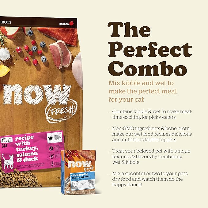 Now Fresh Grain-Free Dry Cat Food with Turkey, Salmon & Duck, Healthy Kibble for Adults Made with Real Meat & Fish, Chicken-Free, with Pumpkin & Probiotics for Sensitive Stomachs, 3 lb Bag