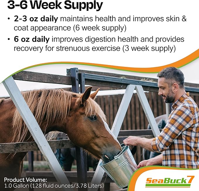 SeaBuck 7 Equine Supplement for Horses with Sea Buckthorn to Improve Horse Health (3-6 Week Supply, 1 Gallon) – Supports Healthy Eating & Digestion, Increased Energy/Focus, & Shiny Coats for Horses