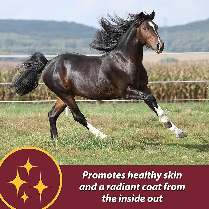Farnam Laser Sheen Skin & Coat Supplement for Horses, Promotes Healthy Skin & Radiant Coat from The Inside Out, 3.75 Pounds 30 Day Supply