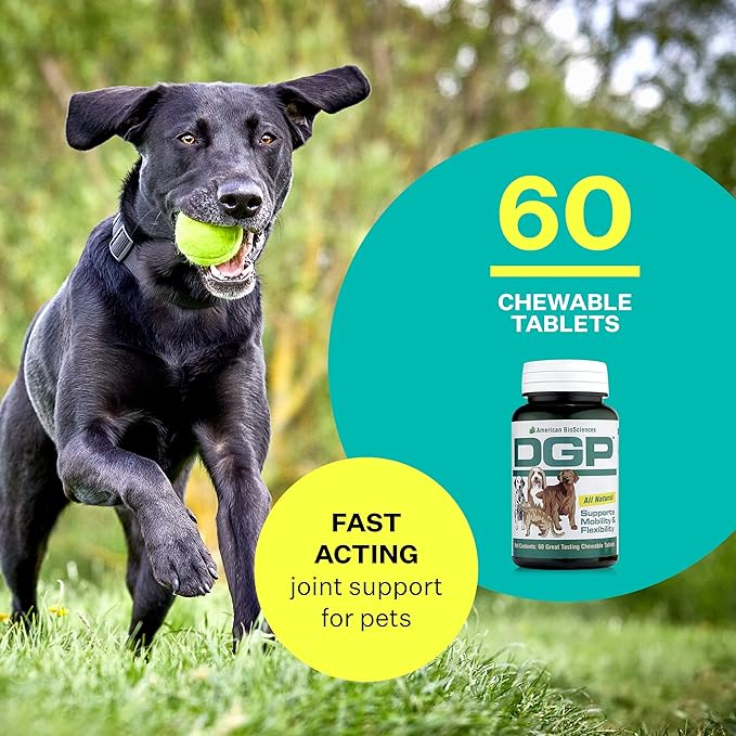 DGP, All-Natural Joint Supplement for Dogs - Joint Support with Turmeric Boswellia Extract - 60 Chewable Pet Tablets per Bottle (60 Count (Pack of 1))
