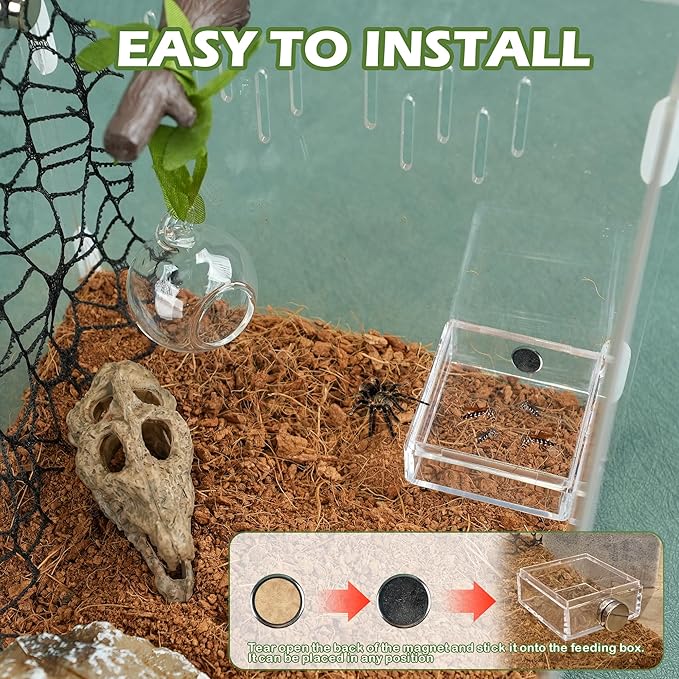 5Pcs Jumping Spider Hide Enclosure Habitat Accessories with Decoration Glass Ball, Feed Bowl and Climbing Web, Spider Hideout Accessories, Suitable for Small Reptile (Not Included Enclosures)