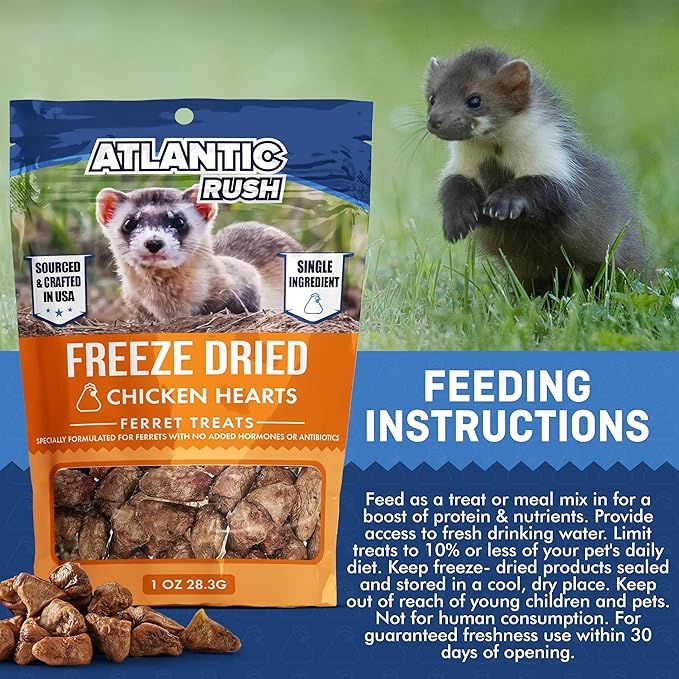Atlantic Rush Freeze Dried Small Pet Treats - Resealable Bag of Treats for Ferrets - Single Ingredient Ferret Food with No Preservatives Or Fillers- Small Animals Treats (3-1oz, Chicken Heart)