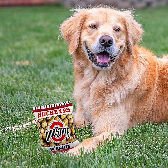 NCAA Ohio State Buckeyes Crinkle FINE Plush Dog & CAT Squeak Toy- Cutest Stadium Peanuts Snack Toy for Dogs & Cats with Inner Squeaker & Beautiful Football/Basketball Team Name/Logo