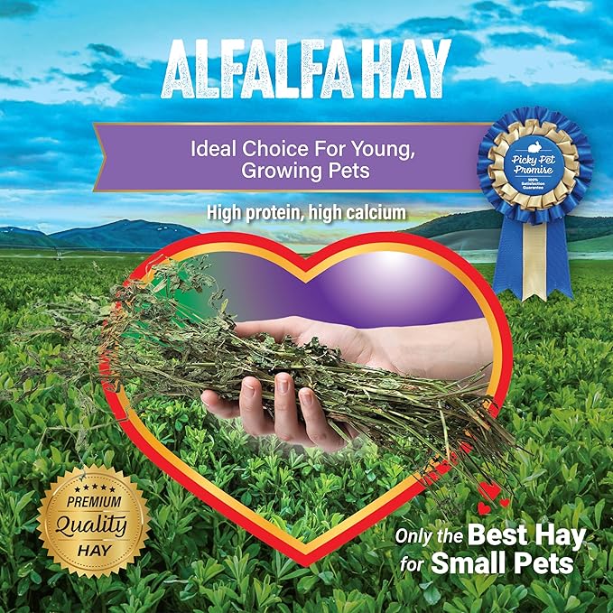 Small Pet Select Alfalfa Hay Pet Food for Young Rabbits, Guinea Pigs, Chinchillas, Tortoises and Other Small Animals, Easy to Store Box, 5 LB