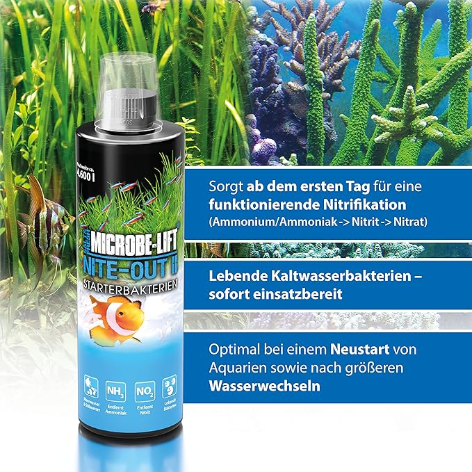 MICROBE-LIFT NITEH64 Nite-Out II Aquarium and Fish Tank Cleaner for Rapid Ammonia and Nitrite Reduction, Freshwater and Saltwater, 64 Ounces