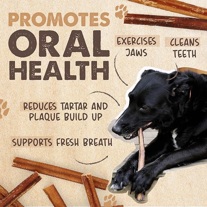 Mighty Paw Naturals Bully Sticks for Small & Medium Dogs - Grass Fed Beef Chews. Bully Sticks for Large Dogs. Lower Odor Stick Treat. Single Ingredient (12" - 10 Pack)
