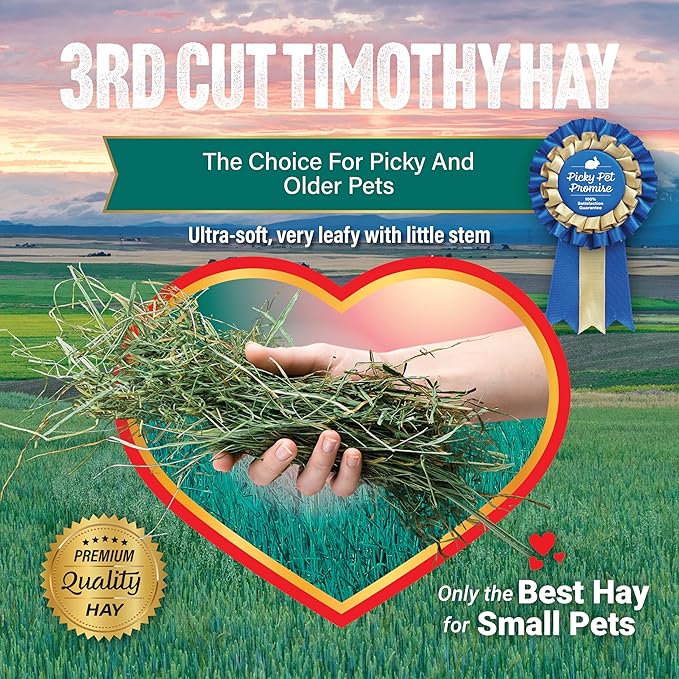 Small Pet Select 3rd Cutting Super Soft Timothy Hay Pet Food for Picky Eaters, Rabbits, Guinea Pigs, and Other Small Animals, Easy to Store Box, 40 LB