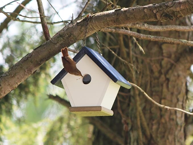 HomePro Garden Hanging Wren House: Navy Blue Poly Lumber Bird House for Outdoors
