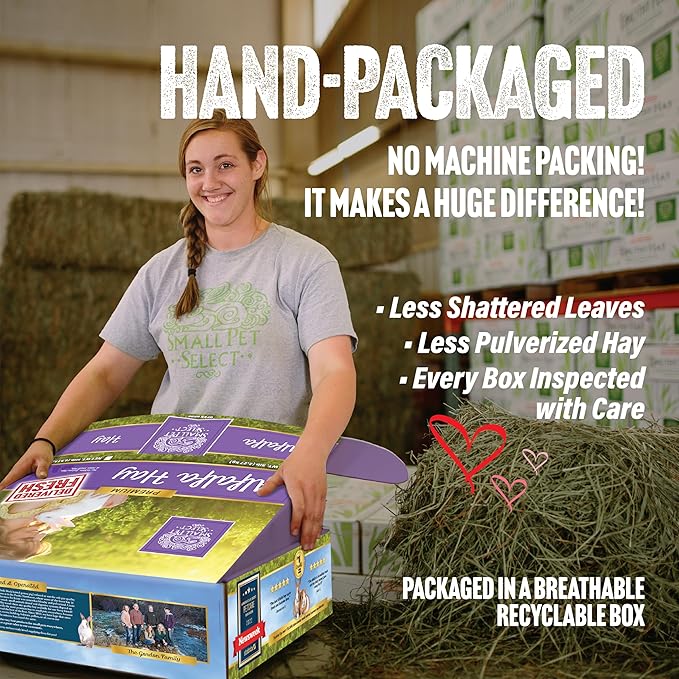 Small Pet Select Alfalfa Hay Pet Food for Young Rabbits, Guinea Pigs, Chinchillas, Tortoises and Other Small Animals, Easy to Store Box, 5 LB
