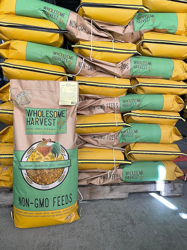 Non-GMO Whole Grain Layer Blend 16% - Chicken Feed for Laying Hens and Ducks - Includes Essential Oils, Herbs, Oyster Shells, Vital Minerals, and Omega 3, 10lb