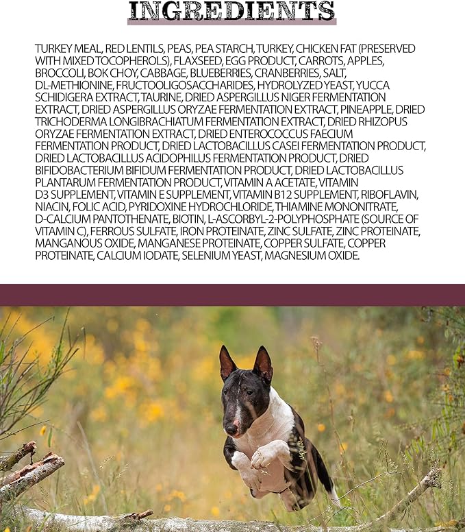 Pulsar Premium Grain Free Dog Food | Turkey Formula | All Life Stage, Non GMO, Meat Dense Diet | 25 lb Bag