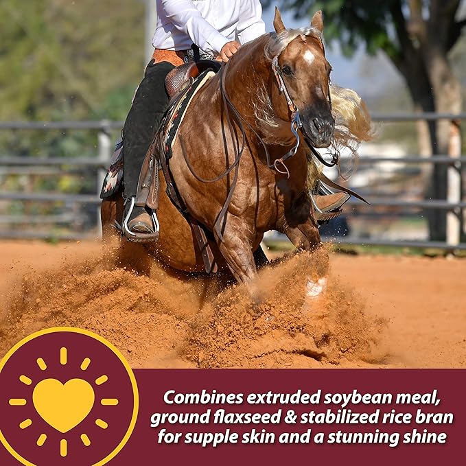 Farnam Laser Sheen Skin & Coat Supplement for Horses, Promotes Healthy Skin & Radiant Coat from The Inside Out, 7.5 Pound, 60 Day Supply