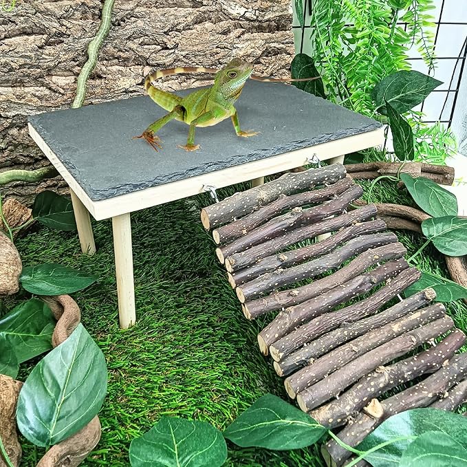 BNOSDM Basking Rock Platform with Climbing Ramp Reptiles Hideout Bearded Dragon Hide Cave Reptile Tank Accessories Suit for Tortoise, Lizard, Toad, Gecko (Large)