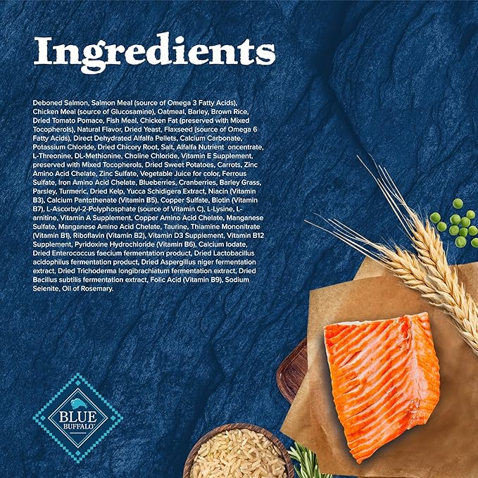 Blue Buffalo Wilderness High Protein Natural Adult Dry Dog Food plus Wholesome Grains, Salmon 13 lb bag
